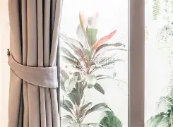 窗口期多伦多猛龙备战欧超杯，绝杀压哨细节曝光，更衣室稳定，医务组通报恢复(多伦多猛龙洛杉矶湖人)