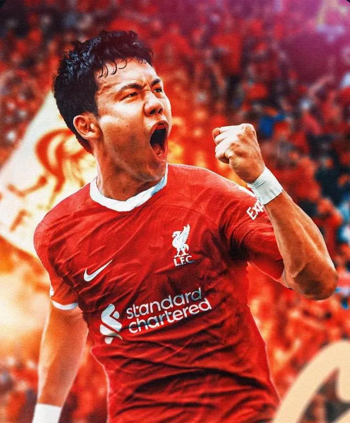 开云中国官网APP-街篮微调教程